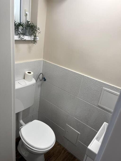 Apartment In Maribor Eksteriør billede